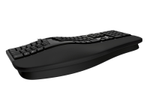 Microsoft Ergonomic Keyboard