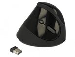 Delock Ergonomic - kabellose vertikale Maus - Schwarz