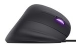 Trust Gaming GXT 144 Rexx Vertikale Gaming-Maus - Schwarz