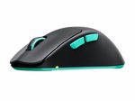 CHERRY Xtrfy M64 kabellose Maus - schwarz