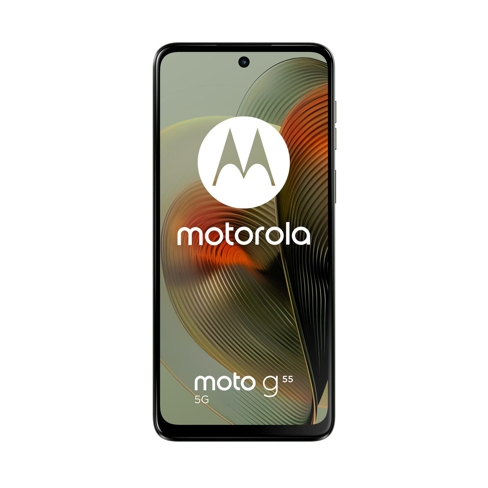 Motorola Moto G55 - 5G Smartphone 8GB/256GB (6.49"), rauchig grün