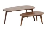 WOHNLING WL6.724 Design Couchtisch (2er Set) Sheesham 100 cm x 50 cm x 42 cm
