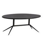 WOHNLING WL6.845 Couchtisch Schwarz Mango 90 cm x 50 cm x 35 cm