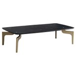 WOHNLING WL7.142 Couchtisch Schwarz 120 cm x 60 cm x 31 cm