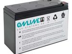 Online USV Ersatzbatterie für ZINTO E 2000