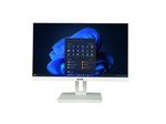 Terra All-in-One PC 2410HA wh Greenline 1000046