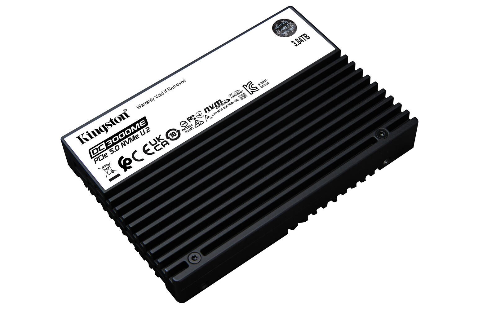 Kingston Technology 3,84TB DC3000ME U.2 PCIe 5.0 NVMe TCG Opal Enterprise SSD