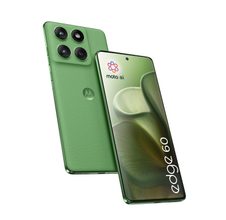 PANTONE Shamrock