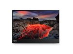Lenovo ThinkVision M14t 2.2K Smart Display 35,6 cm (14")