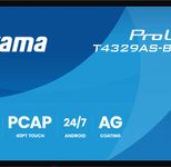 iiyama ProLite T4329AS-B1AG Touch  Display 108 cm (42,5 Zoll)