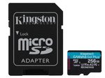 Kingston Canvas Go! Plus Flash-Speicherkarte - 256 GB