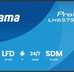iiyama ProLite LH6575UHS-B2AG Signange Display 125,7 cm (49.5 Zoll)
