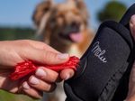 Milu Tragetasche für Hunde-Isolier-Trinkflasche