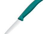 VICTORINOX Küchenmesser Swiss Classic silber, grün