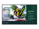 BenQ ST5504 Sinage Display 139,7 cm (55")