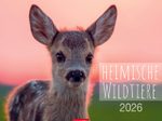 Weingarten Monats-Wandkalender Heimische Wildtiere 2026