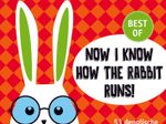 Harenberg Postkartenkalender Now i know how the Rabbit runs!