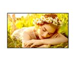LG 50UL5Q-E Signage Display 127 cm 50 Zoll