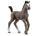 Schleich® Cheval de Selle Francais Fohlen 13957