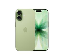 Apple iPhone 17 256GB Salbei