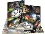HERMA Sammelmappe DIN A4 Fußball