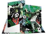 HERMA Sammelmappe DIN A4 Street Soccer