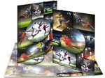 HERMA Sammelmappe DIN A3 Fußball