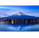 Sharp MultiSync P656 Digital Signage Display 165 cm 65 Zoll