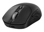 HP 705 - Maus - wiederaufladbar - kabellos, schwarz