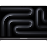 Apple MacBook Pro (16,2") space schwarz