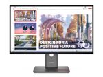 Lenovo ThinkVision P27QD-40 QHD IPS Display 68,6 cm (27")