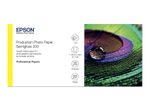 Epson Fotopapier Rolle (1118mm x 30m) seidenmatt 200 g/m²