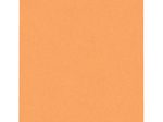 FRANKEN T-Steckkarten TK105 Größe 1, orange