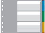 LEITZ Register, Vollformat, blanko, DIN A4