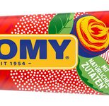 THOMY® Scharfer Senf 200,0 ml