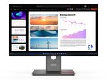 Lenovo ThinkVision P24Q-40 Quad HD Display 60,5 cm (23,8')