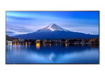 Sharp P506 Digital Signage Display 125,7 cm 50 Zoll