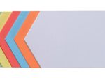 FRANKEN Moderationskarten farbsortiert 29,7 x 16,5 cm