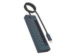 IcyBox USB-Hub 9x USB-C 3.2 Gen 2 mit Stromversorgung