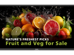 Philips 75BDL5050D Digital Signage Display 189 cm 75 Zoll