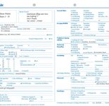 BOI Formular Verlegungsbericht