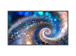 Philips 43BDL2050A Digital Signage Display 108 cm 42,5 Zoll