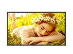 LG 32UL5Q-M Signage Display 81,3 cm 32 Zoll