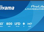 iiyama ProLite LH4366UHSB-B1AG Digital Signage Display 108 cm (43")