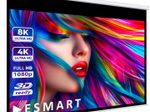 eSmart Professional MIROLO Rollo Leinwand 167,6 cm 66 Zoll