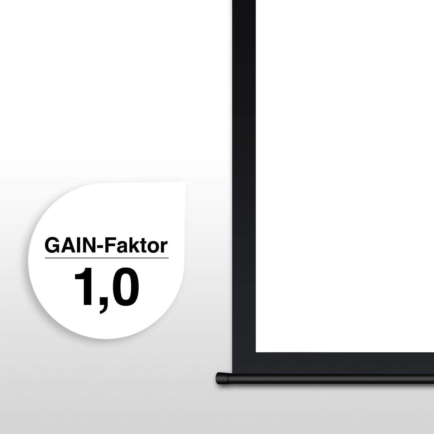 eSmart Germany Motor Leinwand MIMOTO 244 x 137 cm (110") 16:9