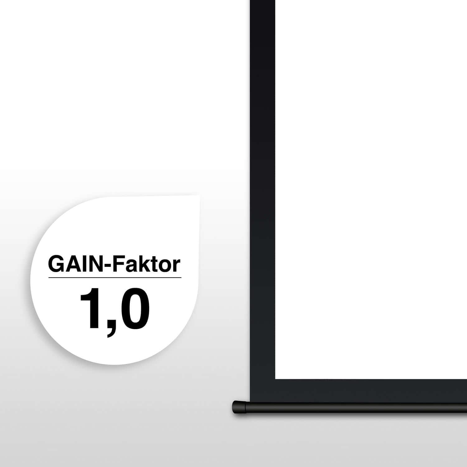 eSmart Germany Motor Leinwand MIMOTO 244 x 183 cm (120") 4:3