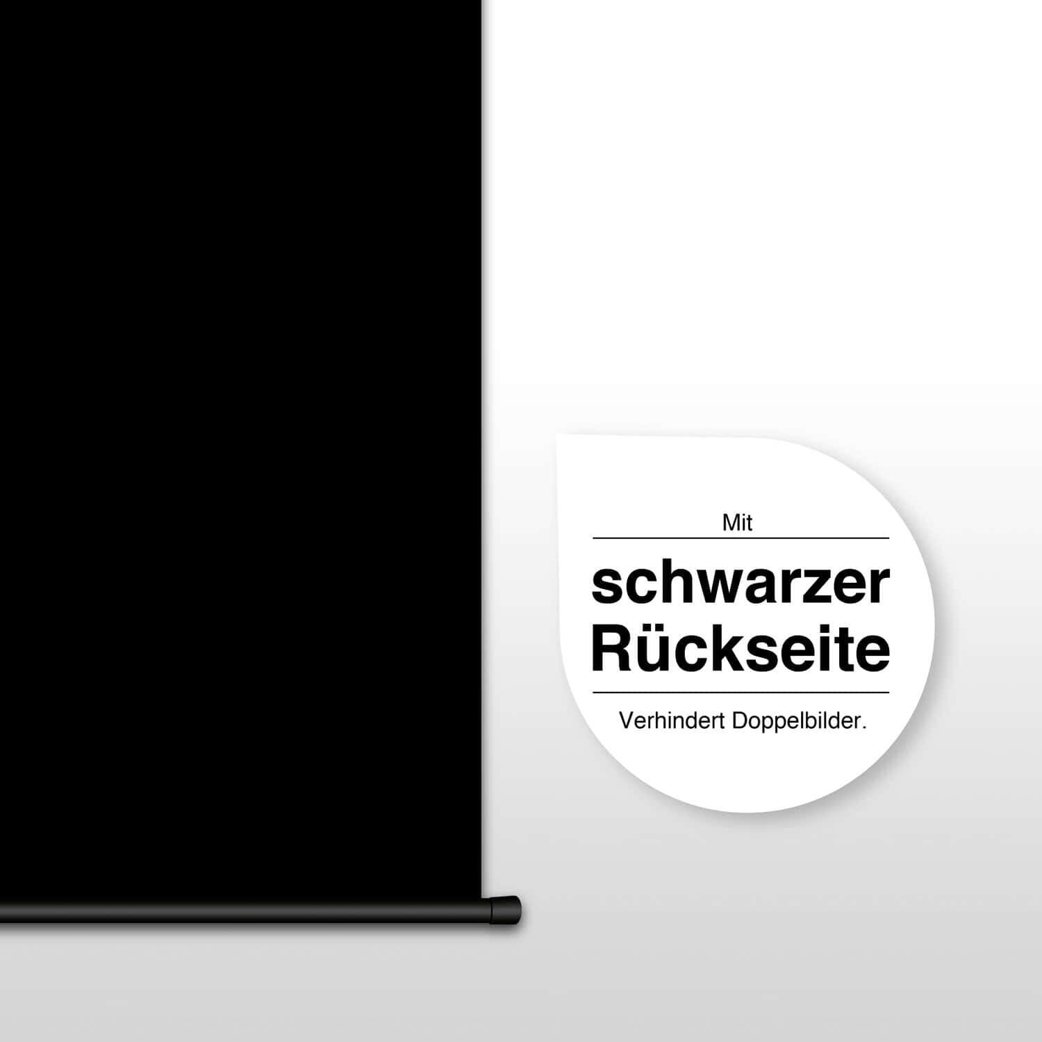 eSmart Germany Tageslicht-Motor Leinwand MIMOTO GRAU 244 x 137 cm (110") 16:9