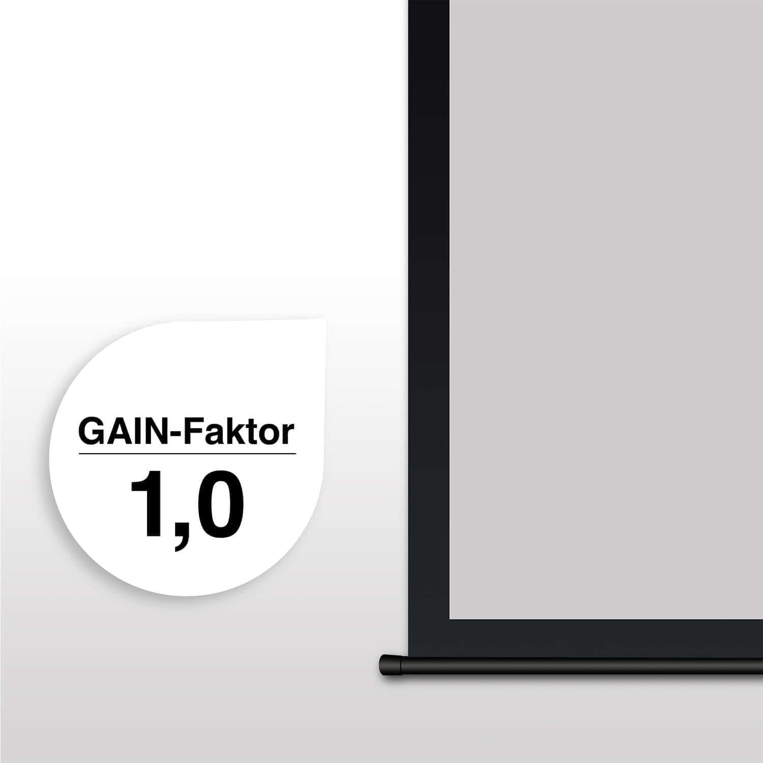 eSmart Germany Tageslicht Motor Leinwand MIMOTO GRAU 221 x 125 cm (100") 16:9