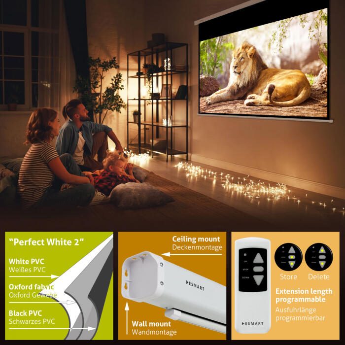 eSmart Professional MIMOTO Motor Leinwand 280 x 210 cm (138") 4:3